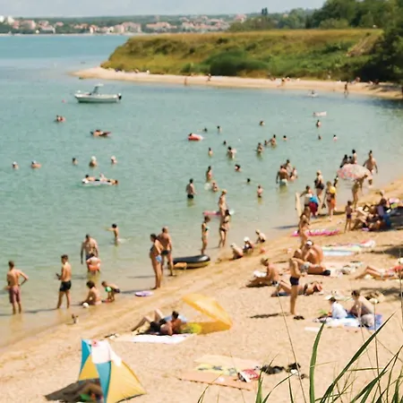 Hébergement de vacances Pet Friendly In *